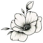 SKIN POETRY logo